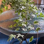 Repovesi * Hillosensalmi