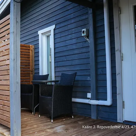 Villa Repovesi Kaaro Alpehytte Hillosensalmi