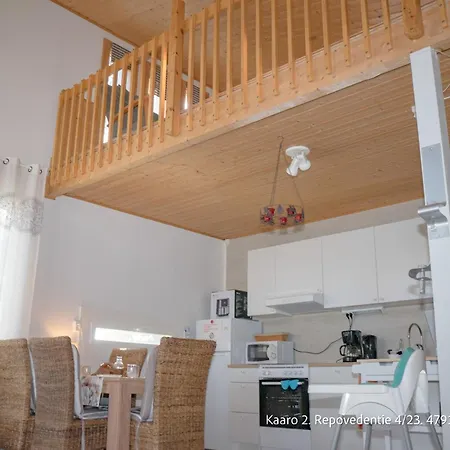 Villa Repovesi Kaaro Chalet