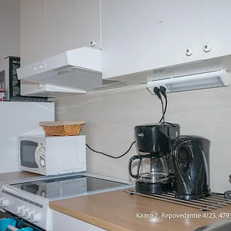 Villa Repovesi Kaaro Alpehytte Hillosensalmi