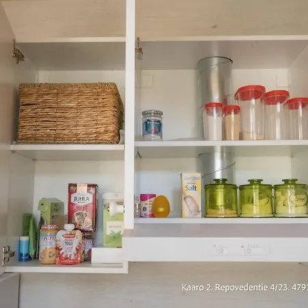 Alpehytte Villa Repovesi Kaaro